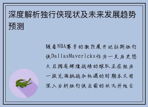 深度解析独行侠现状及未来发展趋势预测